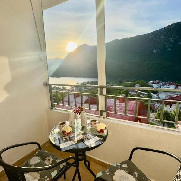 Apartment Milos, hotel in Pluzine