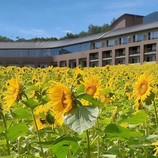 富良野ホテル Furano Hotel, hotel in Furano