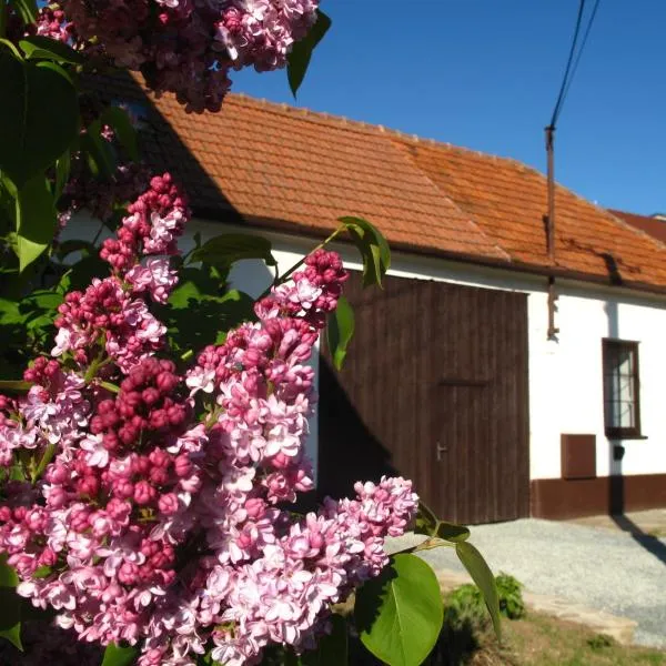 Chalupa U Vinaře, Hotel in Radějov