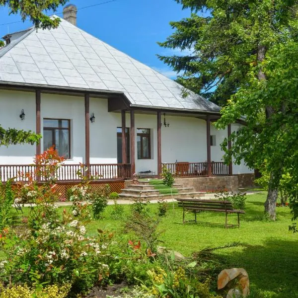 Casa Humulesti, fii vecinul lui Ion Creanga, hotel in Târgu Neamț