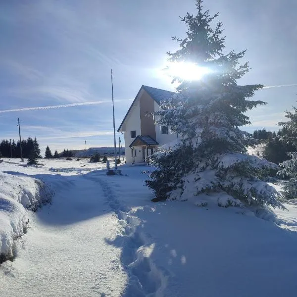 Vila Golijat, hotel em Raška