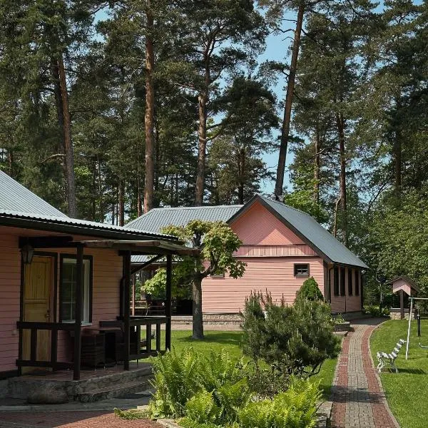 Pansionaat Valentina, hotel in Narva-Jõesuu