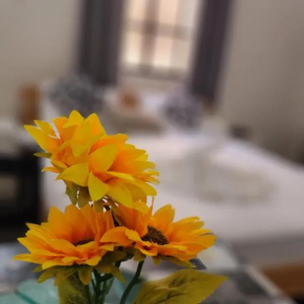 David Hameleh House, ξενοδοχείο στη Νετάνια