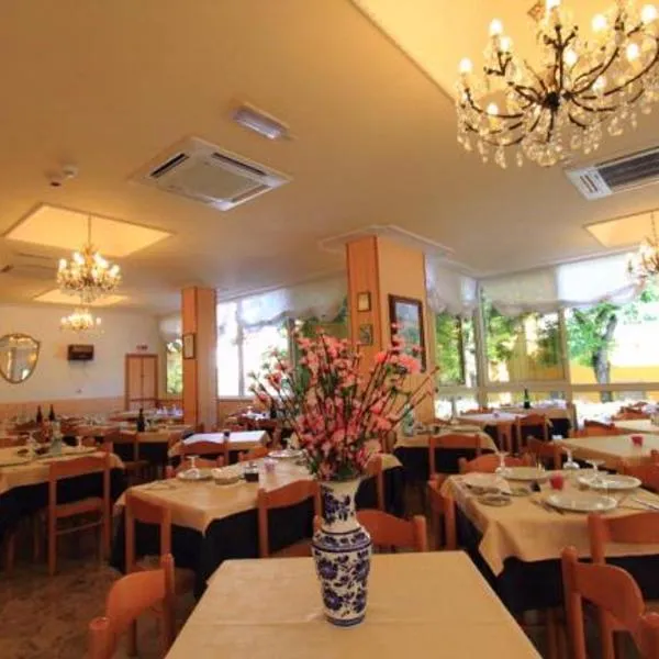 Hotel Moby Dick, hotel v Rimini