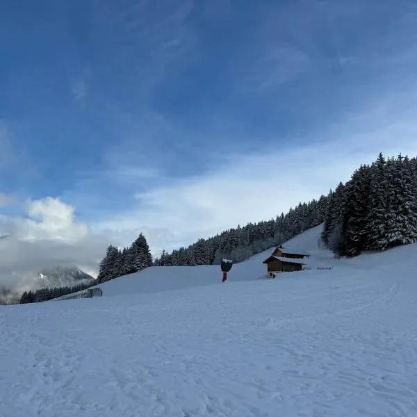 2-bed appt 20 mins from Morzine Portes du Soleil French Alps, ξενοδοχείο σε La Baume