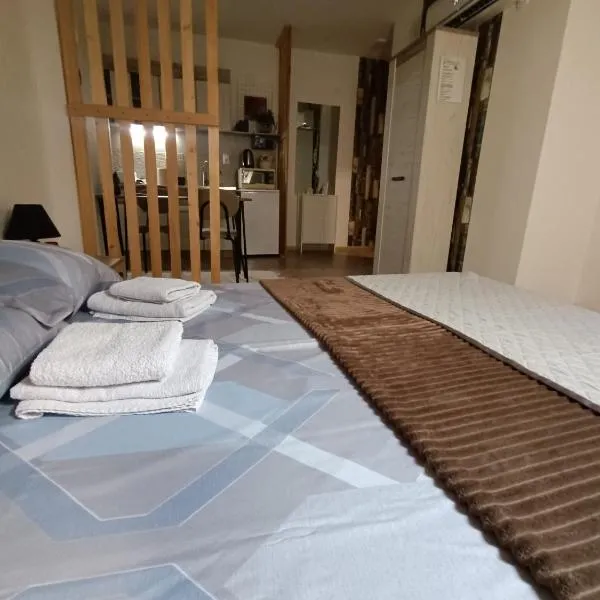 Apartmani S - DSN, hotell sihtkohas Kraljevo