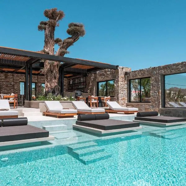 Noir Mykonos, hotel v destinácii Mykonos (mesto)