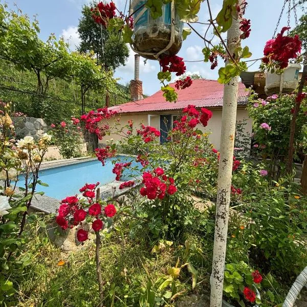 Friendly Cottage with small Pool，位于安布罗劳里的酒店