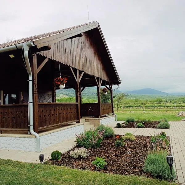 Tekeres-patak Fogadó, hotel in Abasár