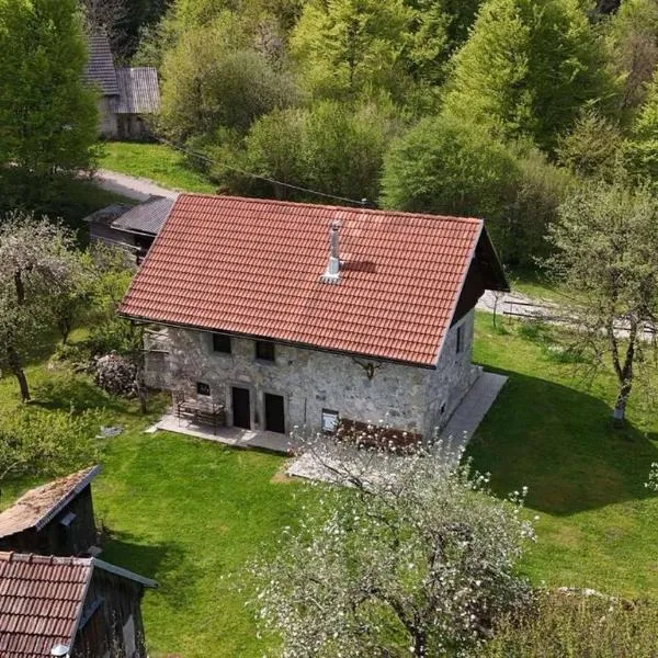 Apartment Olga, ξενοδοχείο