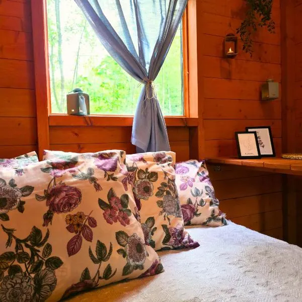 Atsikivi Puhketalu, hotel in Häädemeeste