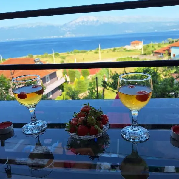 Taku Villa Wonderful view of Lake Ohrid, Hotel in Udënisht