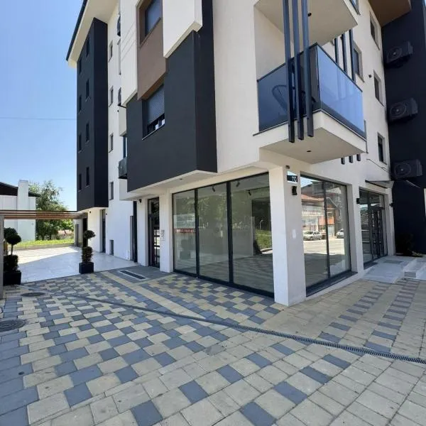 Apartman Tasic，位于弗拉涅的酒店