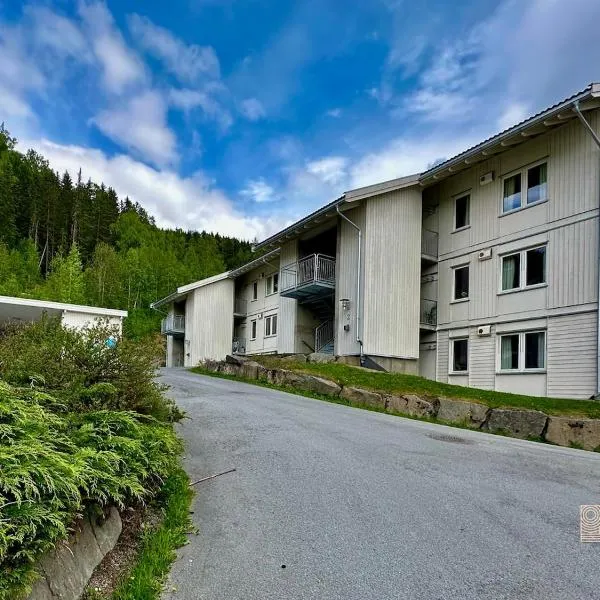 Family friendly apartment in Hafjell ski in-out, fireplace, sauna and wifi โรงแรมในฮาฟเฟียล