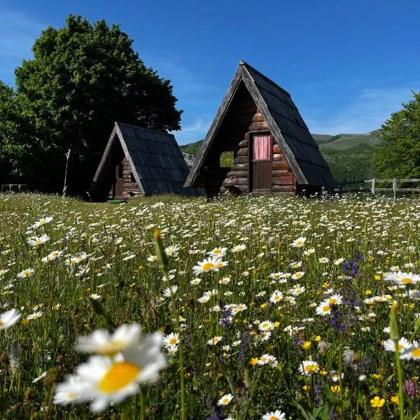 Jatak Cabins and Camping, hotel 