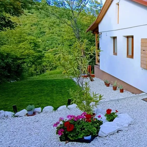 Hilltop Cottage in Szentendre, mountain view, terrace, garden, hotel in Szentendre