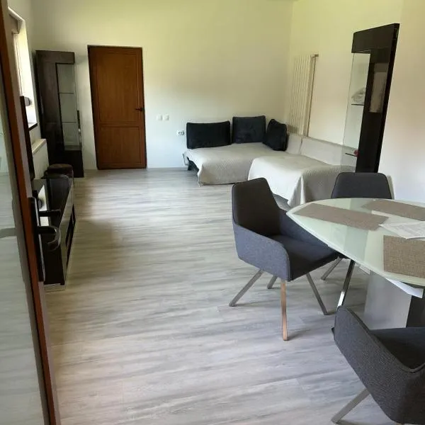 Airport Confort House, hotel di Otopeni