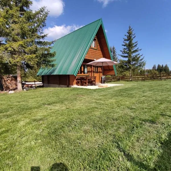 Holiday chalet Asterix, hotel em Žabljak