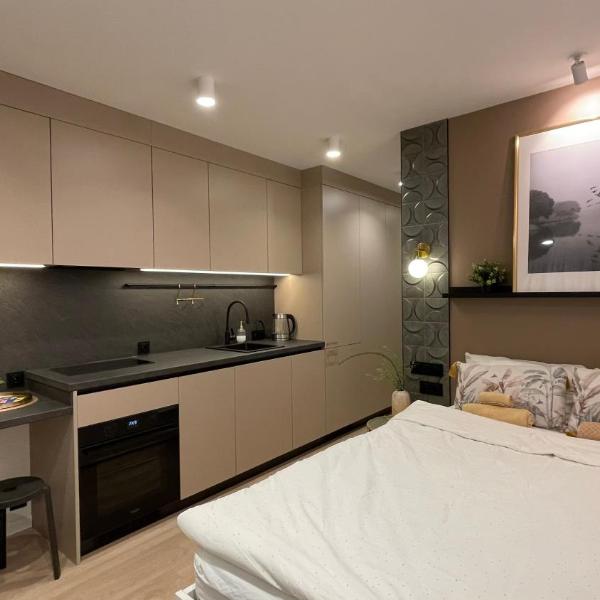 Burtnieku Apartment - Quiet & Cozy, Riga