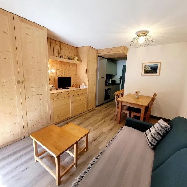 Studio rénové La Clusaz, hotel en La Clusaz