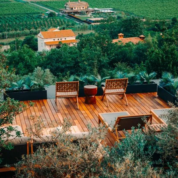 Private Olive Glamping with Tiny House and Two Tents，位于塞科夫列的酒店