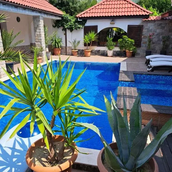 Къщи за гости Стария Орех, hotel v destinaci Vidin