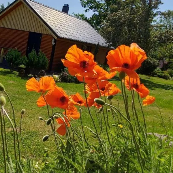 Tuka Talu ,Soomaa piirkonnas, Pärnumaa, hotel di Tori
