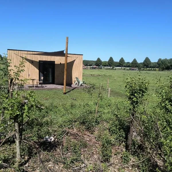 Natuurhuisje 't Hoogbos - Bosrand, hotel v destinaci Schijf