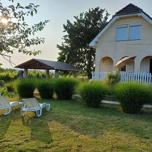 HutiFeri apartman, hotel in Siófok
