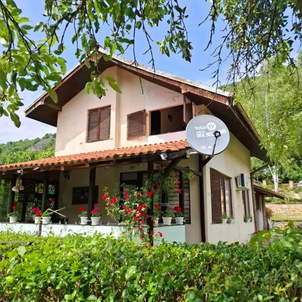 Vila Petrov, hotel v destinaci Lukavica
