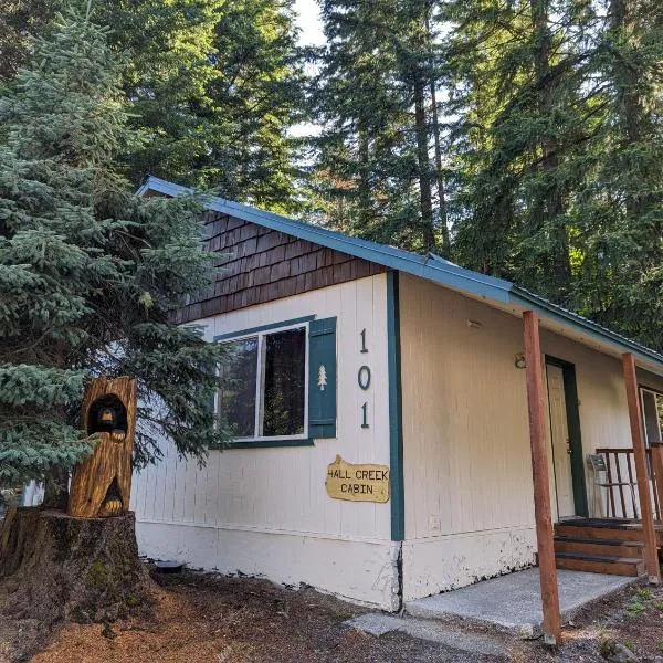 Hall Creek Cabin, hotel in Packwood