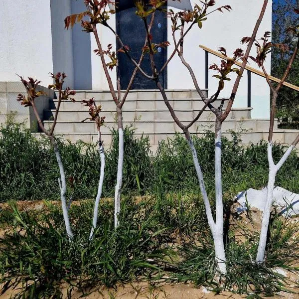 Морской бриз, hotel a Aktau