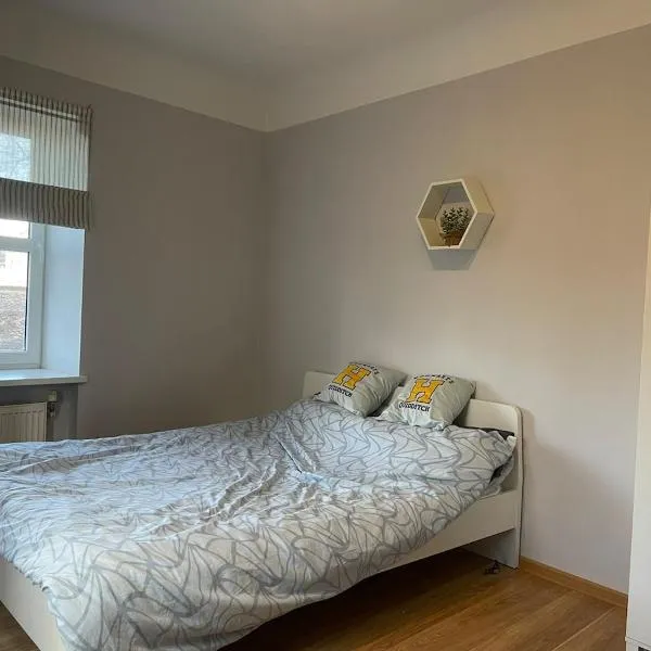 Viesnīca Riga Apartment near City Centre Rīgā