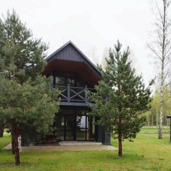 Silver House Close to the Beach, ξενοδοχείο σε Pērkone