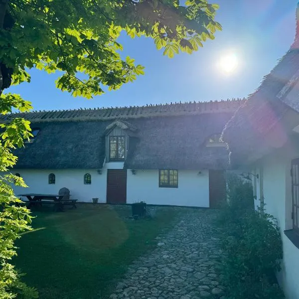 10 min från Malmö/Lund, hotel en Staffanstorp
