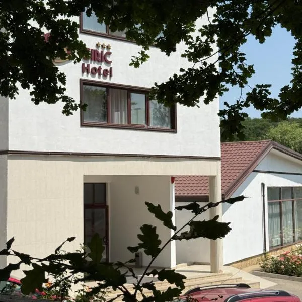 Hotel Ciric, hotel in Iaşi
