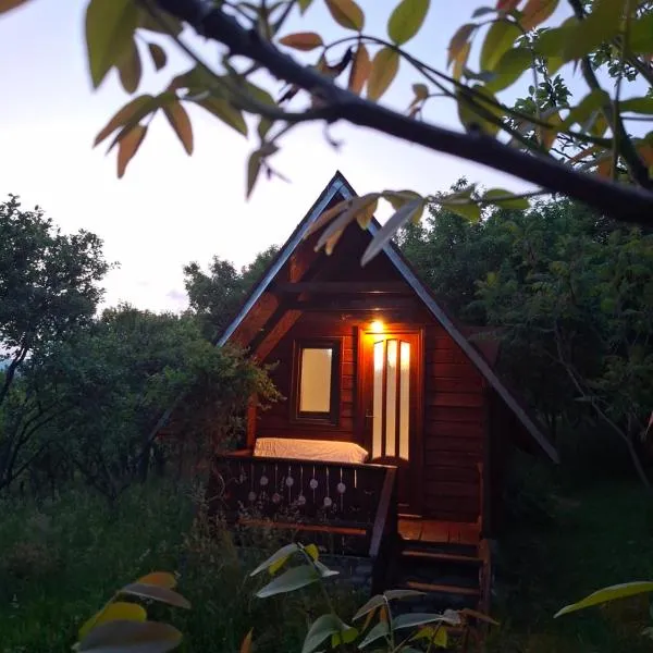 Căbănuță rustică 03, hotel in Băniţa