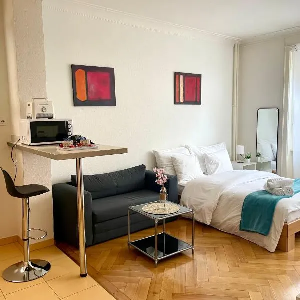 Down Town Studio, hotel v destinaci Lausanne