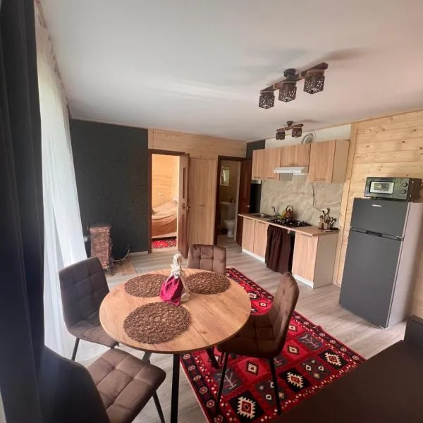 Гармонія біля річки, hotell sihtkohas Skole