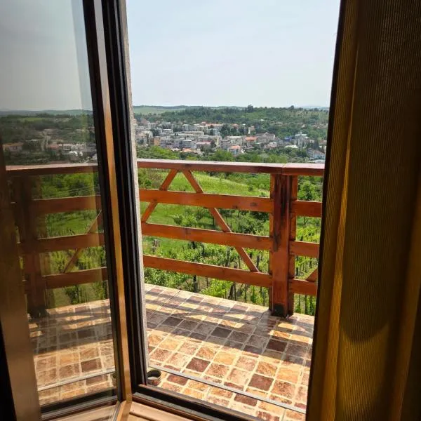 Panorama Cehu Silvaniei, hotel in Cehu Silvaniei