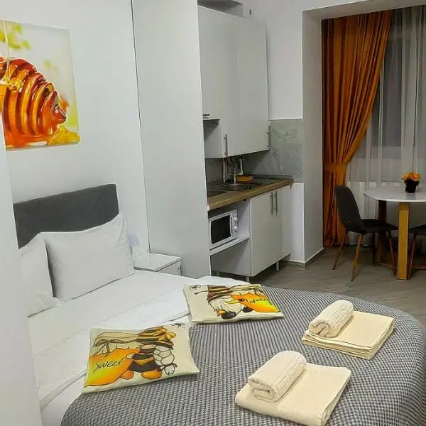 Honey Studio, hôtel à Onești