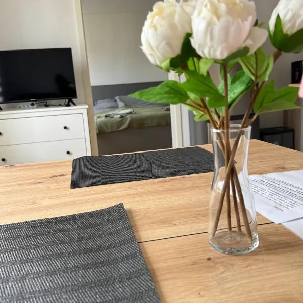 Zentrales Apartment mit Netflix, Kaffee & Parkplätzen, hotel in Paderborn