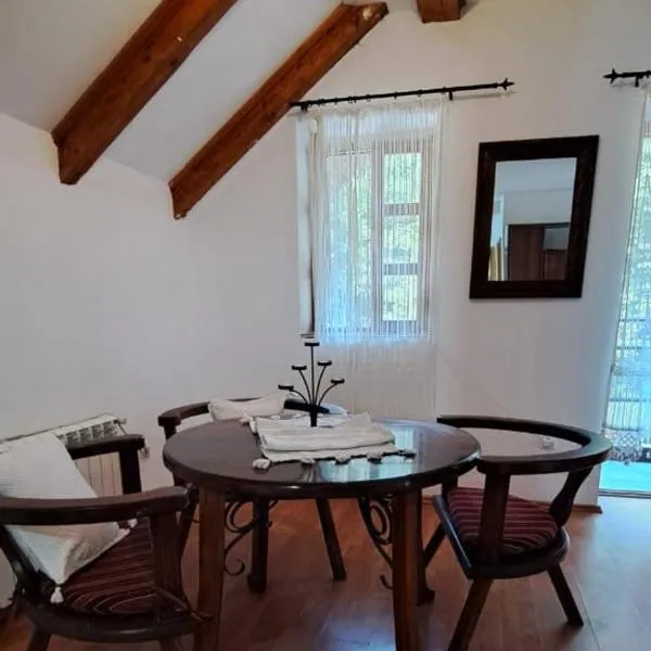 VD Forest villa, ξενοδοχείο σε Cetinje