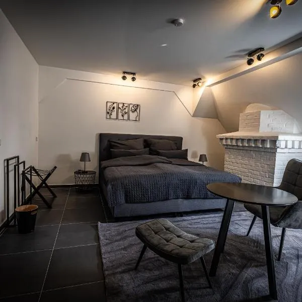 Elbflorenz Familien Suites，位于德累斯顿的酒店