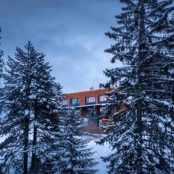Guri i Kuq Hotel & Vila, hotel in Peje
