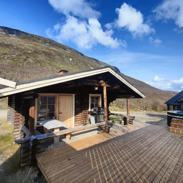 Cabin Pikku Saana、キルピスヤルヴィのホテル