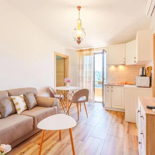 Big Hill Apartment 2，位于科托尔的酒店