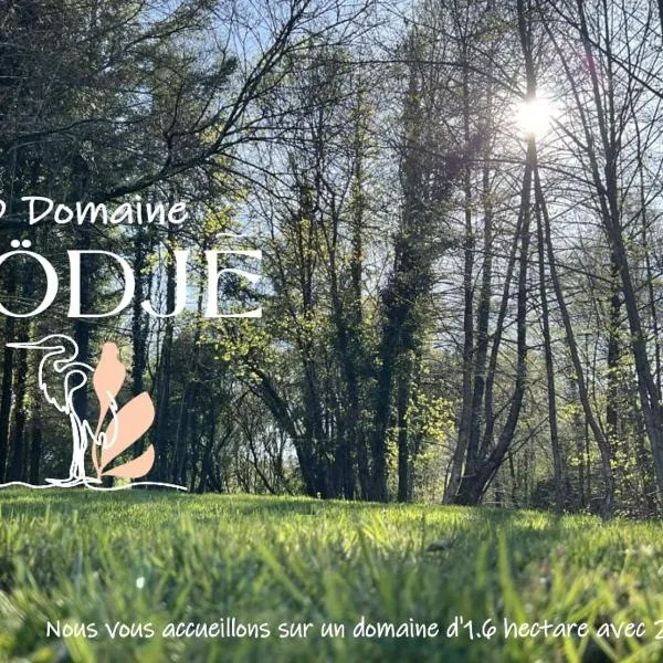 cabane ô domaine södjé, hotel in Saint-Yrieix-sous-Aixe