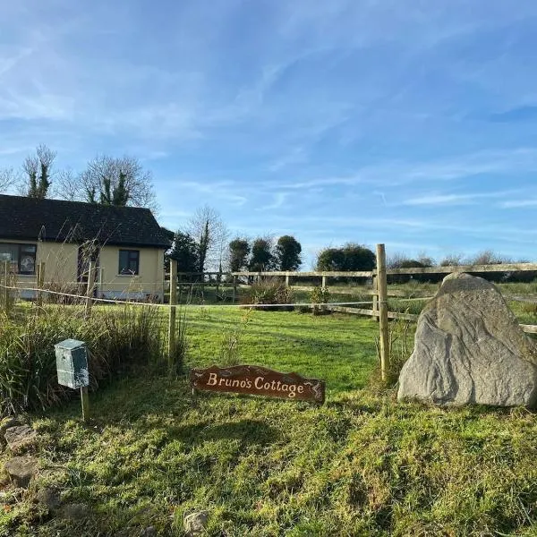 Tranquil rural cottage, Hotel in Killashandra