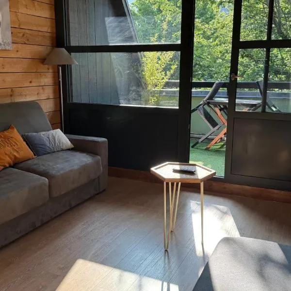 Studio Saint-Lary Soulan village, hotel in Saint-Lary-Soulan